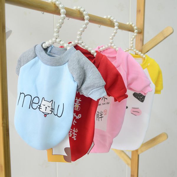 tiktok, dog clothing, teddy warm vip drs, tactic, cloth
tiktok, dog clothing, teddy warm vip drs, tactic, cloth