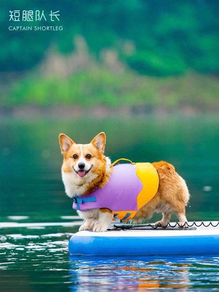 pet swimsuit dog life et rcue buoyancy cloth summer water wave cht back 
pet swimsuit dog life et rcue buoyancy cloth summer water wave cht back