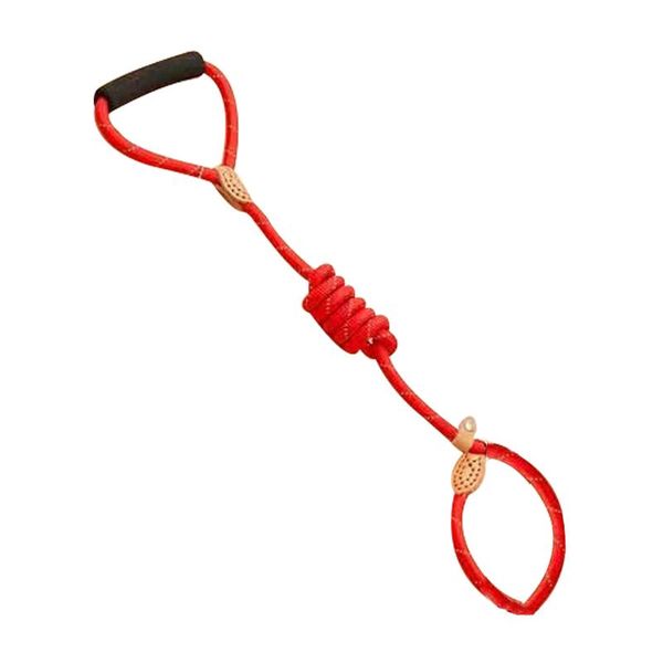 chain dog leash slip collar pet walking leads nylon mountain climbing rope puppy traction for small medium large dogs collars & leashes
chain dog leash slip collar pet walking leads nylon mountain climbing rope puppy traction for small medium large dogs collars & leashes