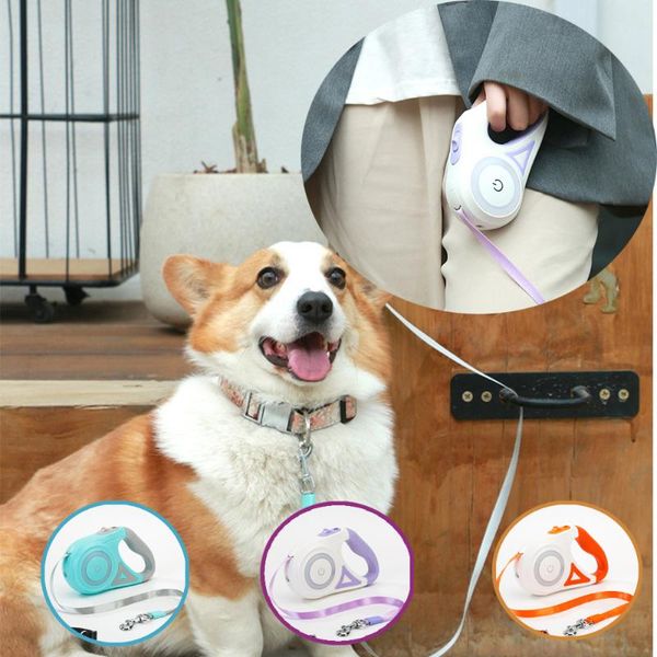 dog collars & leashes led retractable leash for dogs cats with durable nylon walking lead automatic extending rope gifts
dog collars & leashes led retractable leash for dogs cats with durable nylon walking lead automatic extending rope gifts