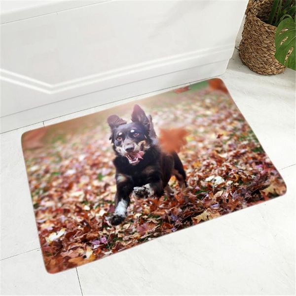 australian shepherd dog flannel carpet floor mat for hallway bedroom rug pet door non-slip decor animal doormat 40x60cm carpets
australian shepherd dog flannel carpet floor mat for hallway bedroom rug pet door non-slip decor animal doormat 40x60cm carpets