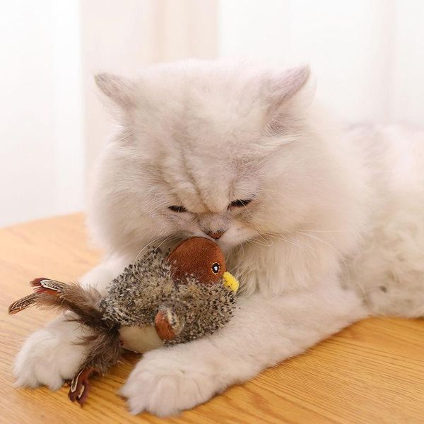 cat toys simulation bird mouse pet toy kitten interactive training scratching feather talking playing claw product for cats
cat toys simulation bird mouse pet toy kitten interactive training scratching feather talking playing claw product for cats