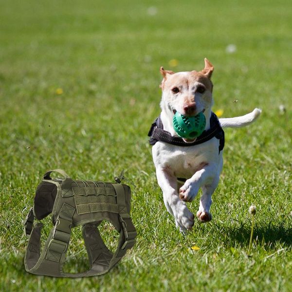 dog collars & leashes pet vest camouflage german shepherd chest strap outdoor training sling back set products
dog collars & leashes pet vest camouflage german shepherd chest strap outdoor training sling back set products