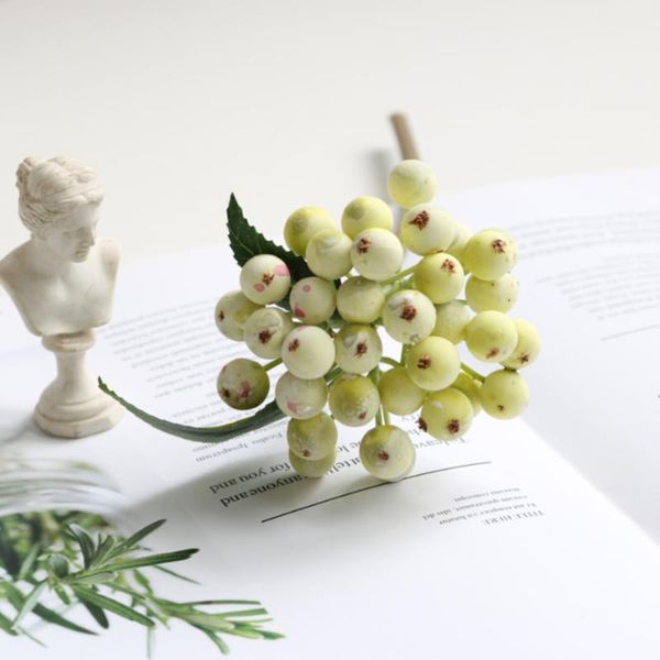 party decoration simulation fruits ornaments artificial berries christmas eco-friendly living room flower arrangement accessories
party decoration simulation fruits ornaments artificial berries christmas eco-friendly living room flower arrangement accessories