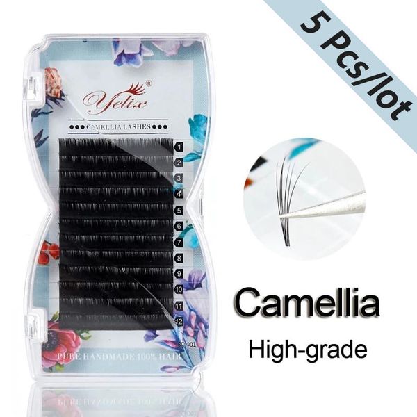 false eyelashes 5pcs/lot high grade individual camellia lashes handmade natural eyelash extension volume blossom thick pandora makeup eye la
false eyelashes 5pcs/lot high grade individual camellia lashes handmade natural eyelash extension volume blossom thick pandora makeup eye la