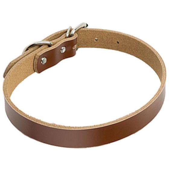 dog collars & leashes collar leash set pet nameplate small medium large dogs vest leather pure cowhide supplies protection
dog collars & leashes collar leash set pet nameplate small medium large dogs vest leather pure cowhide supplies protection
