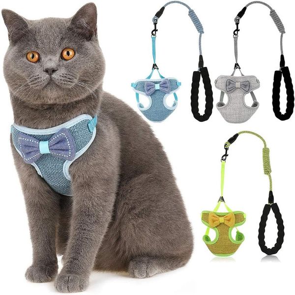 cat collar cute bowknot vests harness and leash product accessories for cats or puppies costumes
cat collar cute bowknot vests harness and leash product accessories for cats or puppies costumes