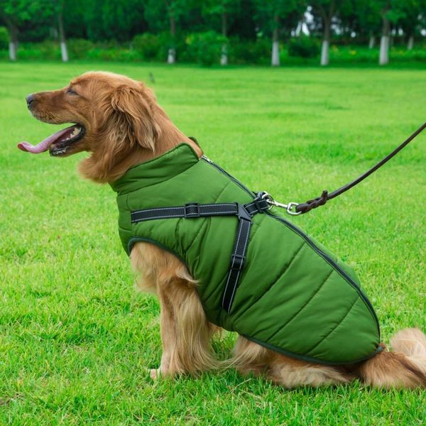 dog apparel 2 in 1 pet autumn winter skiing costume sleeveless cotton padded vest with durable chest strap harness arrivals
dog apparel 2 in 1 pet autumn winter skiing costume sleeveless cotton padded vest with durable chest strap harness arrivals