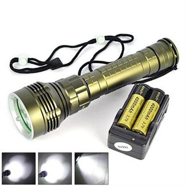 underwater 100m 8000lm 5x xm-l 2 led scuba diving torch+18650+charger flashlights torches
underwater 100m 8000lm 5x xm-l 2 led scuba diving torch+18650+charger flashlights torches