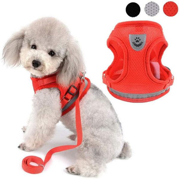 dog harness leash adjustable reflective pets dogs cats vest breathable mesh puppy chest strap accessories s/m/l collars & leashes
dog harness leash adjustable reflective pets dogs cats vest breathable mesh puppy chest strap accessories s/m/l collars & leashes