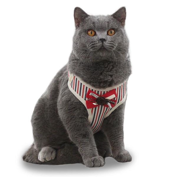 cat collars & leads dog adjustable harness bowknot collar vest walking lead leash for puppy polyester mesh kitten supplies
cat collars & leads dog adjustable harness bowknot collar vest walking lead leash for puppy polyester mesh kitten supplies