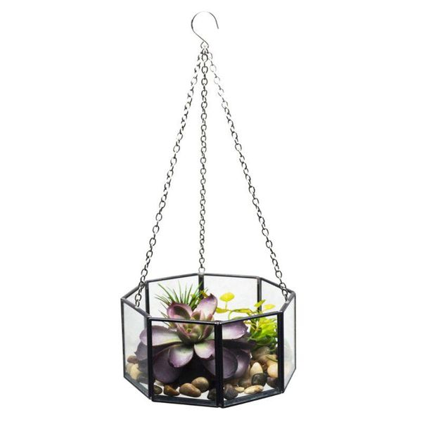 vases octagonal geometric hanging glass flower plant vase terrarium container pot home
vases octagonal geometric hanging glass flower plant vase terrarium container pot home