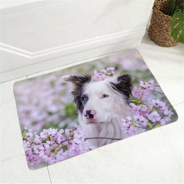 scotland border collie floor door mat decor pet dog animal non-slip doormat soft flannel carpet for hallway kitchen room 40x60cm carpets
scotland border collie floor door mat decor pet dog animal non-slip doormat soft flannel carpet for hallway kitchen room 40x60cm carpets