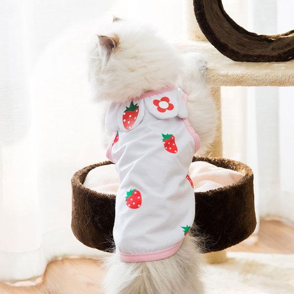 fashion summer cat floral clothes small dog blouse janpan korean elegant breathable pet kitten vegan strawberry print vest costumes
fashion summer cat floral clothes small dog blouse janpan korean elegant breathable pet kitten vegan strawberry print vest costumes