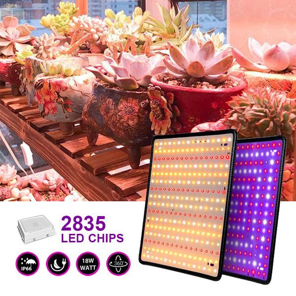 grow light hydroponic kits growing lamp plant veg flower indoor lighting tent 225 phytolamp plants 2000w lights
grow light hydroponic kits growing lamp plant veg flower indoor lighting tent 225 phytolamp plants 2000w lights