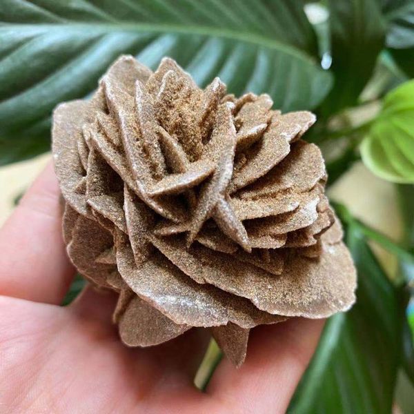 decorative objects & figurines natural desert rose crystal quartz energy gem mineral specimen reiki healing
decorative objects & figurines natural desert rose crystal quartz energy gem mineral specimen reiki healing