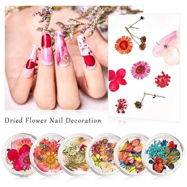 dried flower nail decoration natural floral sticker mixed dry diy art decals uv gel polish manicure1, Silver;gold
dried flower nail decoration natural floral sticker mixed dry diy art decals uv gel polish manicure1, Silver;gold