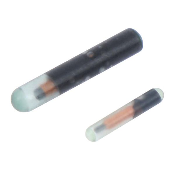 dog apparel fish pet microchip animal rfid tag with em4305 chip iso11784/5 fdx-b cat idetification tools 125khz/134.2khz
dog apparel fish pet microchip animal rfid tag with em4305 chip iso11784/5 fdx-b cat idetification tools 125khz/134.2khz