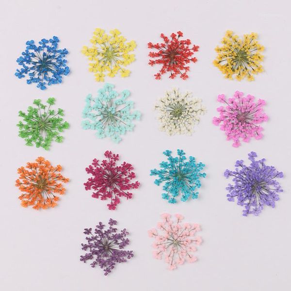 decorative flowers & wreaths snowdrop flower natural dried pressed manicure drip glue mobile phone case diy material 100pcs/bag1
decorative flowers & wreaths snowdrop flower natural dried pressed manicure drip glue mobile phone case diy material 100pcs/bag1