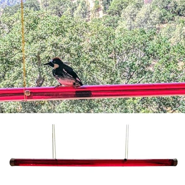 other bird supplies 40/60cm hummingbird feeder with hole feeding pipes birds easy to use red long tube gardening tools
other bird supplies 40/60cm hummingbird feeder with hole feeding pipes birds easy to use red long tube gardening tools