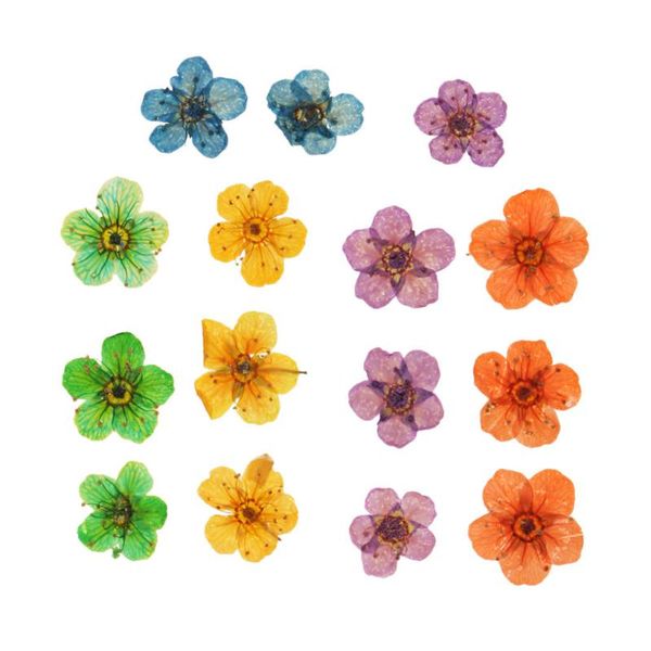 decorative flowers & wreaths 15 pieces natural real dried embellishments for diy nail art jewelry making crafts pendants charms
decorative flowers & wreaths 15 pieces natural real dried embellishments for diy nail art jewelry making crafts pendants charms