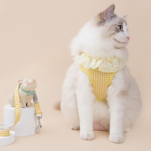 cat collars & leads anti-break leash adjustable harness supplies accessories lace vest-style dog
cat collars & leads anti-break leash adjustable harness supplies accessories lace vest-style dog