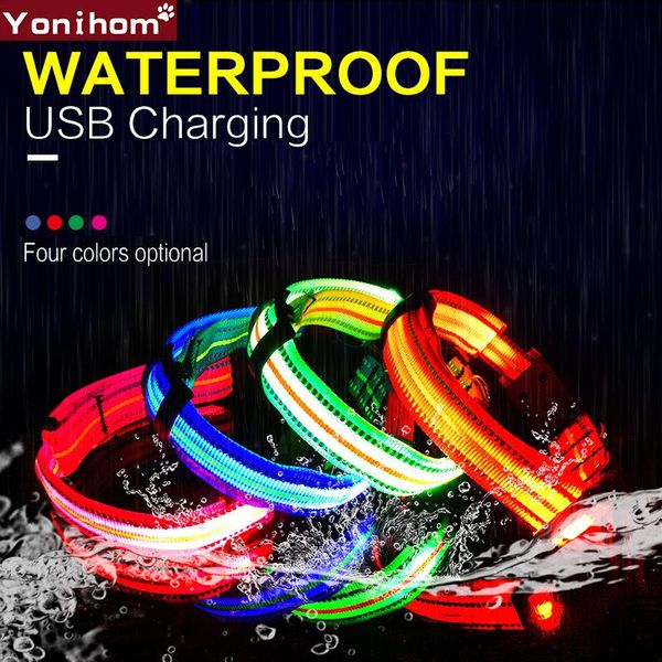 dog collars & leashes led collar usb rechargeable electronic waterproof night safety perro glowing luminous for pets
dog collars & leashes led collar usb rechargeable electronic waterproof night safety perro glowing luminous for pets