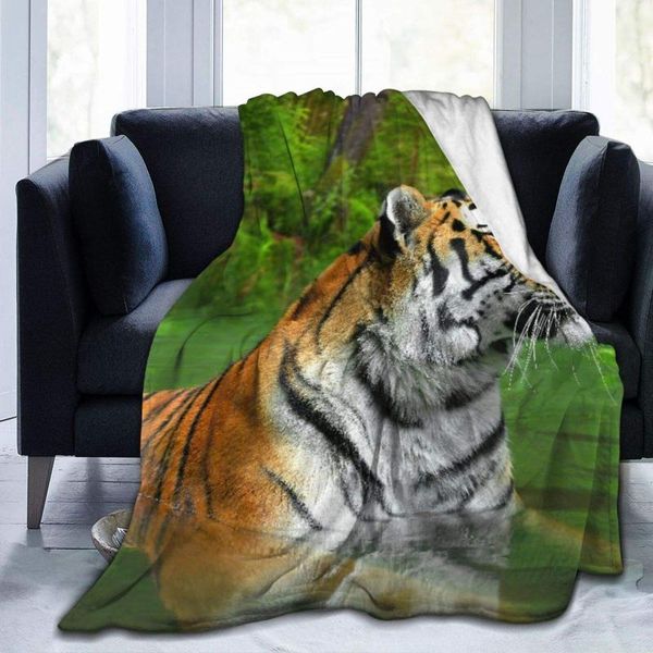 blankets personalized custom throw blanket big black striped cat from siberia swimming at the lake in forest soft comfortable plush
blankets personalized custom throw blanket big black striped cat from siberia swimming at the lake in forest soft comfortable plush