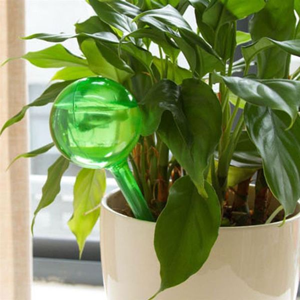 watering equipments automatic self device house garden water globe houseplant plant pot bulb travel dripper
watering equipments automatic self device house garden water globe houseplant plant pot bulb travel dripper