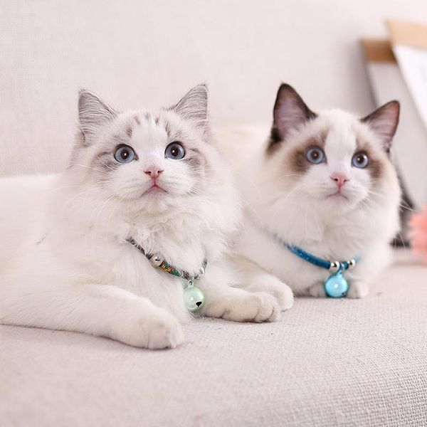 cat collars & leads collar japanese cute bell pet adjustable for puppy kittens necklace accessories animal goods
cat collars & leads collar japanese cute bell pet adjustable for puppy kittens necklace accessories animal goods
