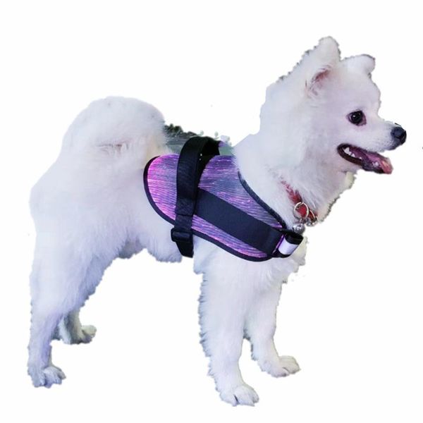 outdoor waterproof 7 color pet dog cat golden retriever samoyed fiber optic illumination vest clothes collar built-in battery apparel
outdoor waterproof 7 color pet dog cat golden retriever samoyed fiber optic illumination vest clothes collar built-in battery apparel