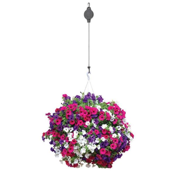 plant pulley hanger adjustable flower pot retractable hook hanging hooks & rails
plant pulley hanger adjustable flower pot retractable hook hanging hooks & rails
