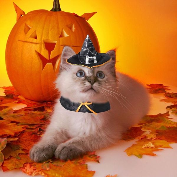 cat costumes halloween pet hat supplies magic wizard transforming bib holiday costume
cat costumes halloween pet hat supplies magic wizard transforming bib holiday costume