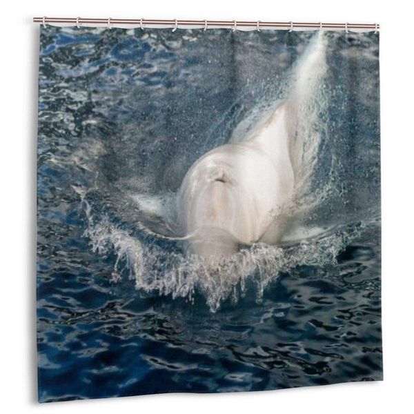 shower curtain,creative whales traveler ocean sea,custom design waterproof shower curtains bathroom decor include hooks, extra
shower curtain,creative whales traveler ocean sea,custom design waterproof shower curtains bathroom decor include hooks, extra