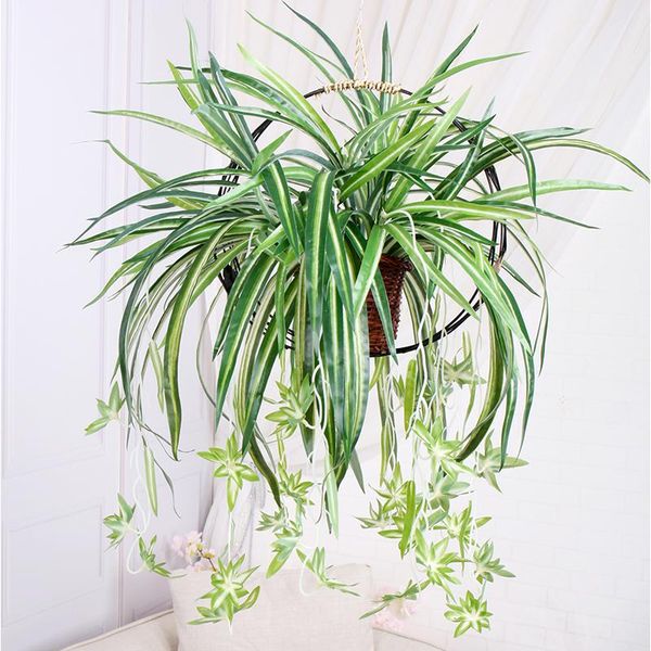 decorative flowers & wreaths 70cm artificial plastic plants wall hanging chlorophytum bouquet potted green fake flower living room home deco
decorative flowers & wreaths 70cm artificial plastic plants wall hanging chlorophytum bouquet potted green fake flower living room home deco