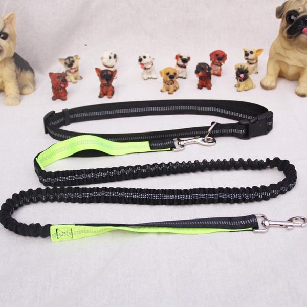 dog collars & leashes 1pcs multifunctional led pet leash print running sport traction nylon going out and managing tools supplies
dog collars & leashes 1pcs multifunctional led pet leash print running sport traction nylon going out and managing tools supplies