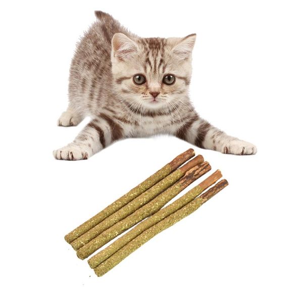 cat toys natural catnip molar stick cleaning teeth tooth polygonum hydropiper mint sticks
cat toys natural catnip molar stick cleaning teeth tooth polygonum hydropiper mint sticks