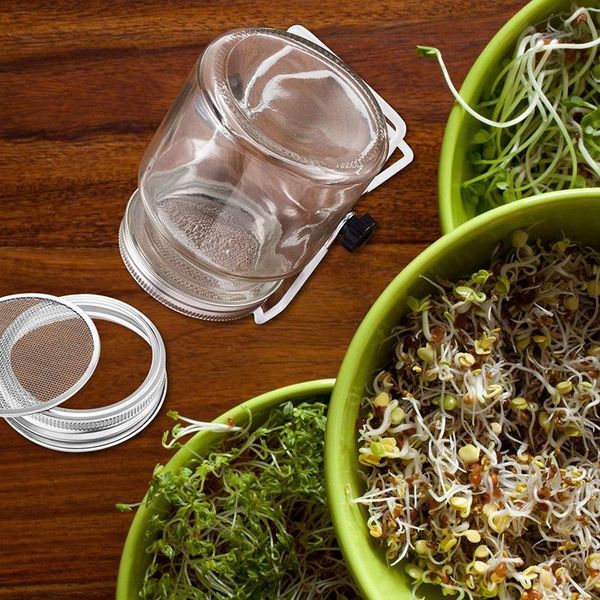 kitchen storage & organization 4 pack metal sprouting jar lid with 2 stands for wide mouth mason jars canning to make sprout
kitchen storage & organization 4 pack metal sprouting jar lid with 2 stands for wide mouth mason jars canning to make sprout