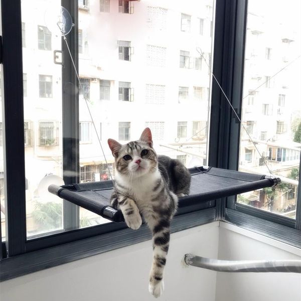cat beds & furniture hammock window resting seat perch bed indoor breathable washable mesh durable cats sleeping heavy duty suction cups
cat beds & furniture hammock window resting seat perch bed indoor breathable washable mesh durable cats sleeping heavy duty suction cups