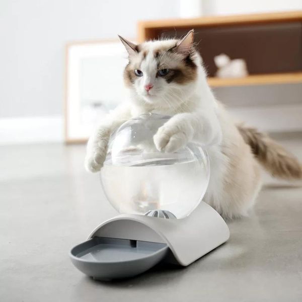 cat bowls & feeders automatic drinking bowl for fountain 2,4 l, bowl, pet water dispenser, large without electricity
cat bowls & feeders automatic drinking bowl for fountain 2,4 l, bowl, pet water dispenser, large without electricity