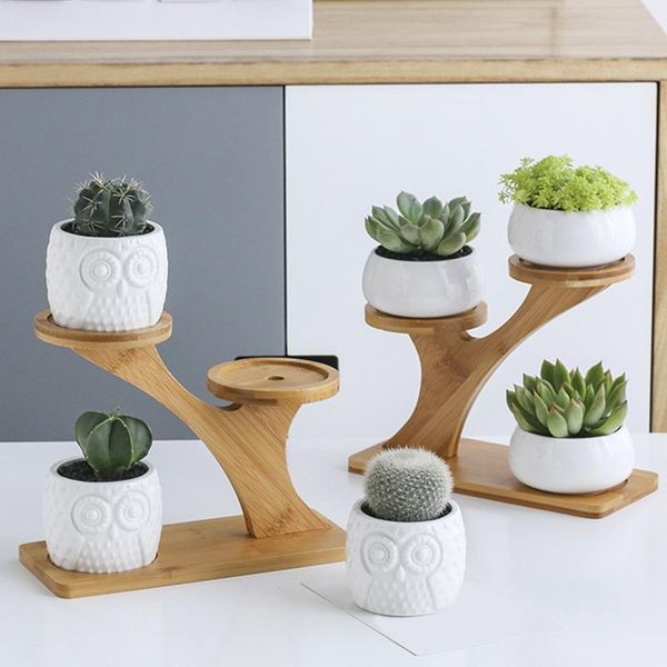 planters & pots deskmulti-layer flower pot holder bamboo plant stands shelf for window balcony living room office mini (no pot)
planters & pots deskmulti-layer flower pot holder bamboo plant stands shelf for window balcony living room office mini (no pot)