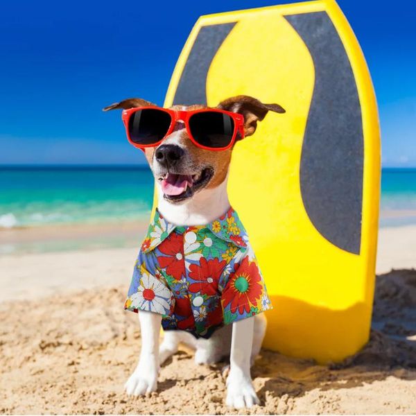 dog apparel fashion summer clothes puppy cats shirt hawaii beach casual pet shirts for small medium dogs pug s-xl
dog apparel fashion summer clothes puppy cats shirt hawaii beach casual pet shirts for small medium dogs pug s-xl