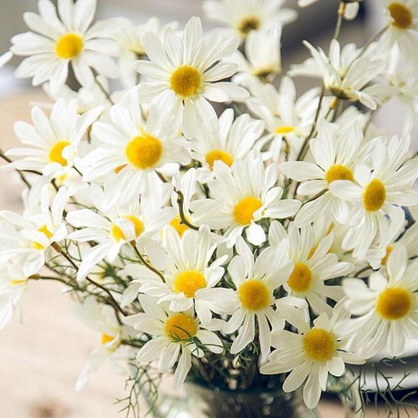 decorative flowers & wreaths white daisy non-woven fabrics flower bouquet artificial valentines home decoration accessories wed
decorative flowers & wreaths white daisy non-woven fabrics flower bouquet artificial valentines home decoration accessories wed