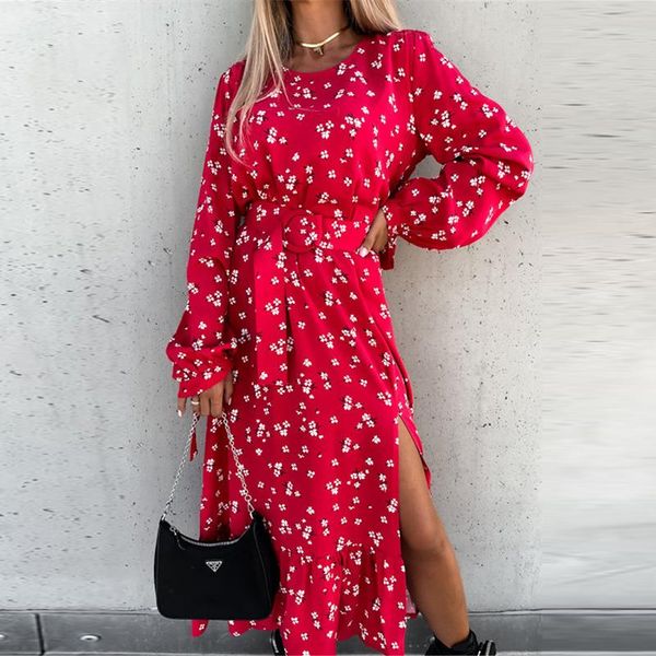 casual dresses women's autumn floral long dress split sleeve red bule maxi robe boho female print belt elegant holiday party 2021, Black;gray
casual dresses women's autumn floral long dress split sleeve red bule maxi robe boho female print belt elegant holiday party 2021, Black;gray