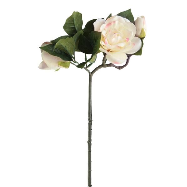 decorative flowers & wreaths 2021 bouquet bridal silk peony flower home wedding decor 1
decorative flowers & wreaths 2021 bouquet bridal silk peony flower home wedding decor 1