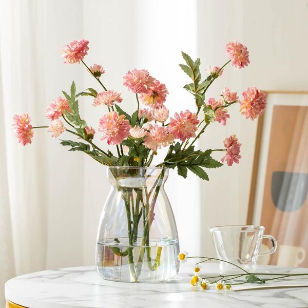 vases nordic transparent glass vase round modern decor flowers living room dining table terrarium hydroponics decoration
vases nordic transparent glass vase round modern decor flowers living room dining table terrarium hydroponics decoration