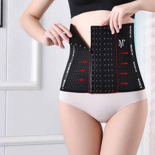 women's shapers women waist trainer shapewear body shaper hollow design breathable underbust slimmer belt corset for weight loss aic, Black;white
women's shapers women waist trainer shapewear body shaper hollow design breathable underbust slimmer belt corset for weight loss aic, Black;white