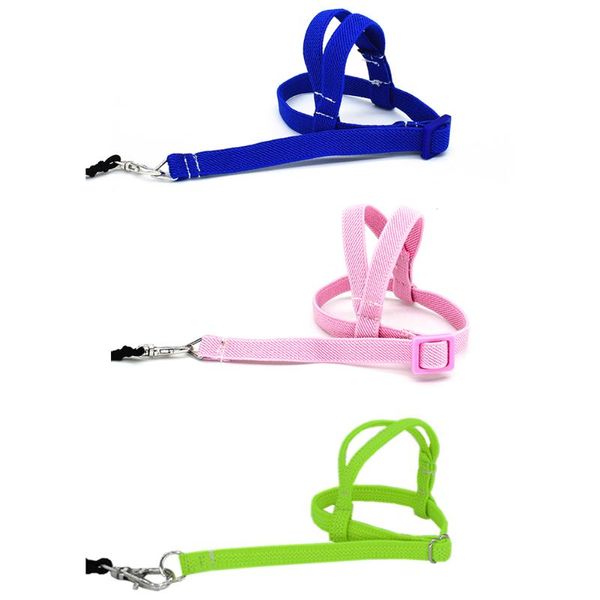 other bird supplies antibite flying training rope parrot pet leash kits ultralight harness soft portable playthings designer
other bird supplies antibite flying training rope parrot pet leash kits ultralight harness soft portable playthings designer