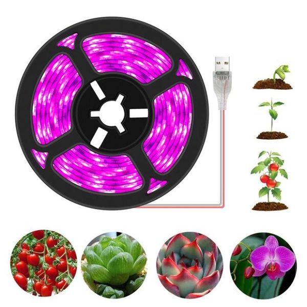 grow lights lighting led plant supplement light with 5v low voltage waterproof full spectrum bar flower nursery lamp vegetable
grow lights lighting led plant supplement light with 5v low voltage waterproof full spectrum bar flower nursery lamp vegetable