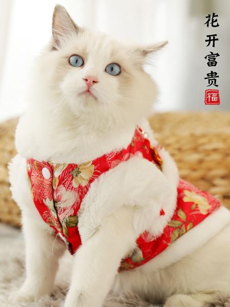 cat costumes winter jacket windproof pet sweater suit for cold weather hoodie costume cats outfit ubranie dla kota supplies jj60mj
cat costumes winter jacket windproof pet sweater suit for cold weather hoodie costume cats outfit ubranie dla kota supplies jj60mj